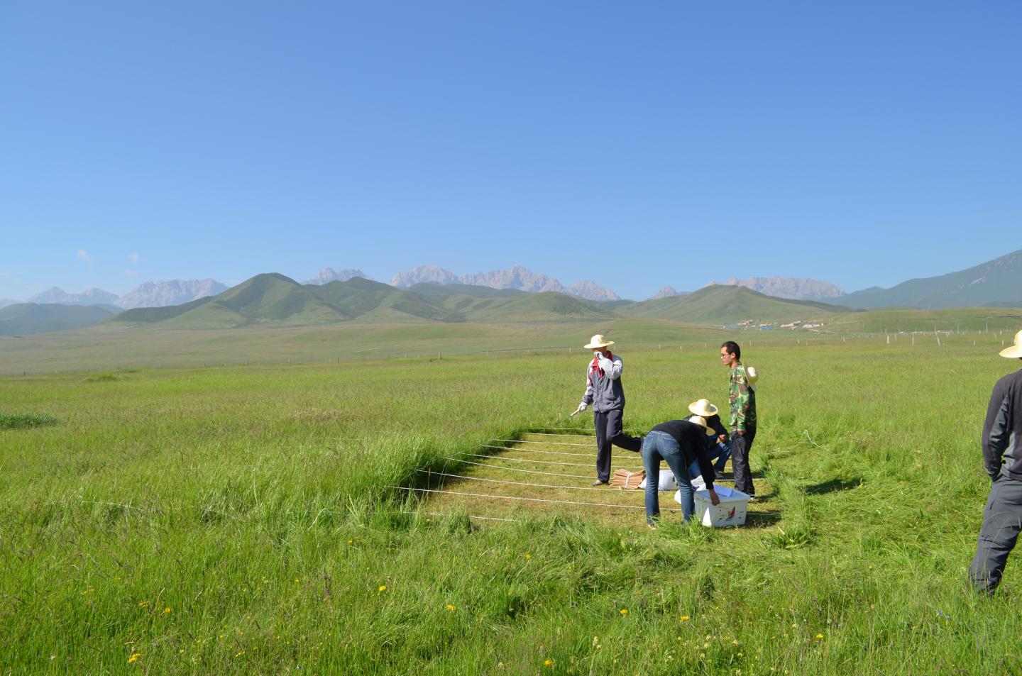 Humped Back Model Of Plant Diversity Withstan EurekAlert 