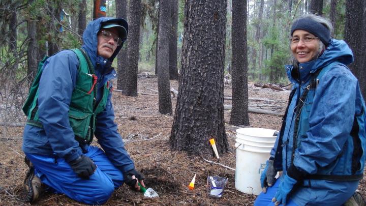 Joyce Eberhart and Dan Luoma, Oregon State University