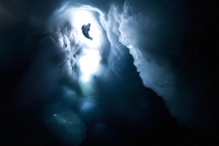 Weddell Seal Pup Underwater