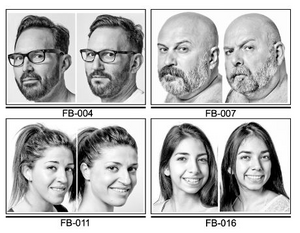 Photographic examples of LALs used in this study