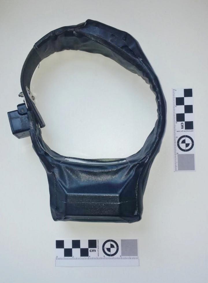 Raiding Baboons -- Bespoke Collar