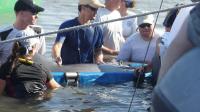Barataria Bay Dolphins 2011 Health Assessment