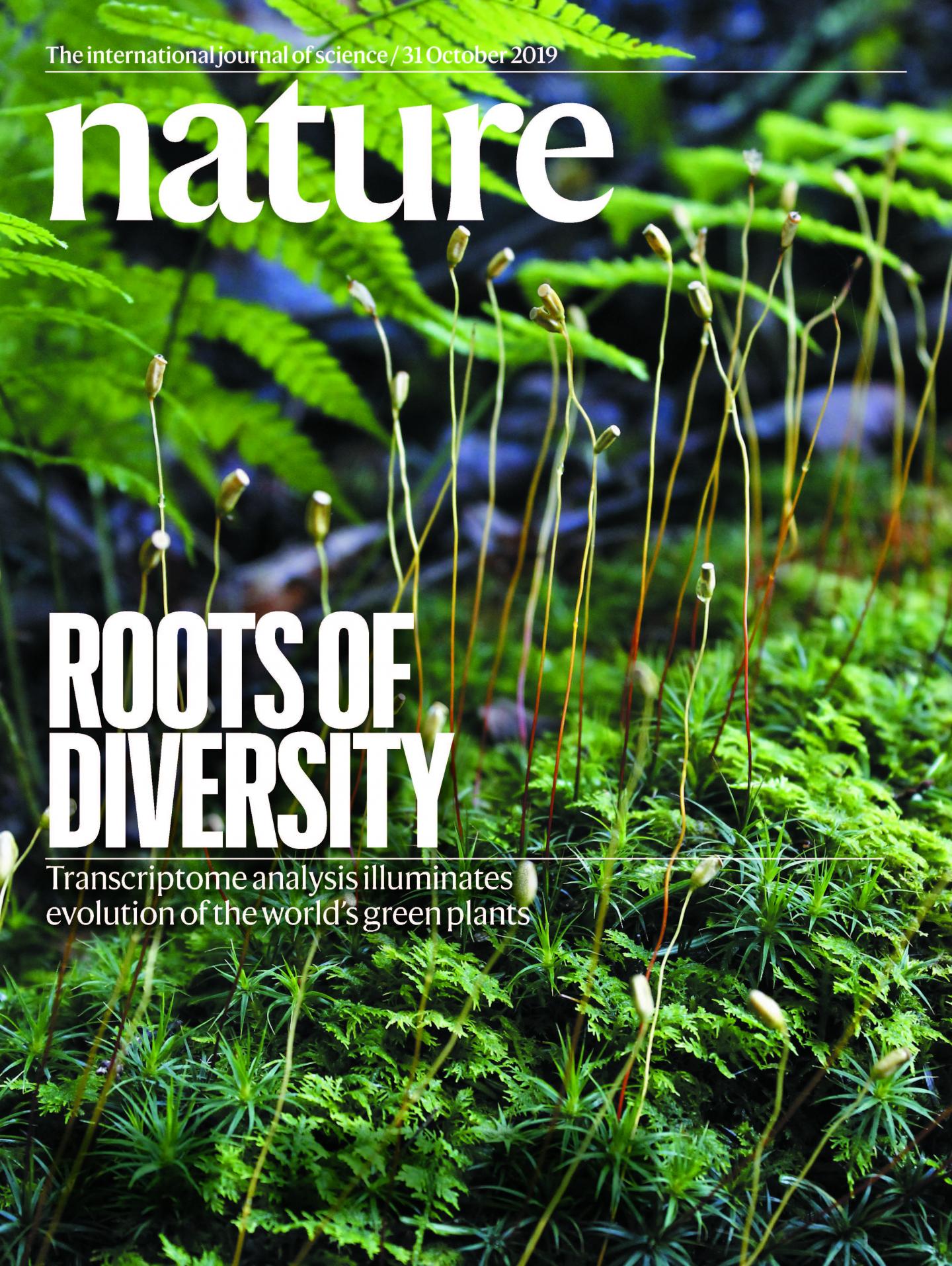 <em>Nature</em> Cover Oct. 31 2019