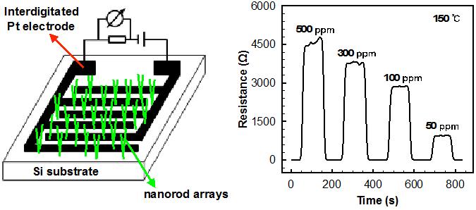 A Schematic Illustration of the Gas Sensor Device Based on the Hybrid Nanorod Arrays