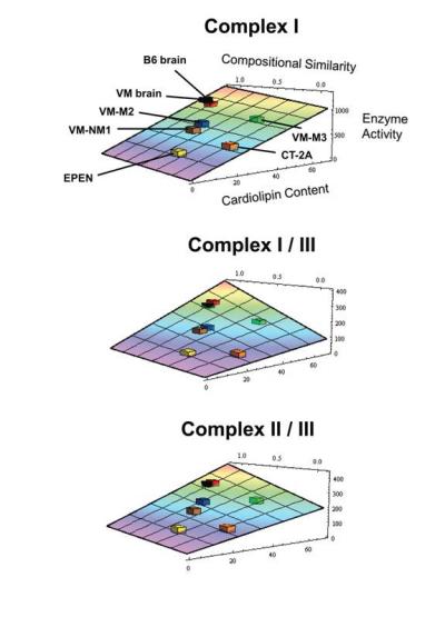 Cardiolipin Abnormalities
