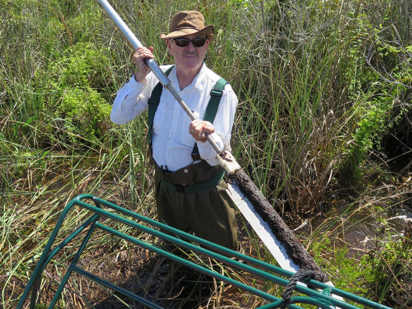 Natural Mechanism Could Lower Emissions from Tropical Peatlands