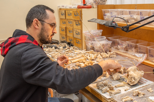 Dmitry Gimranov at laboratory