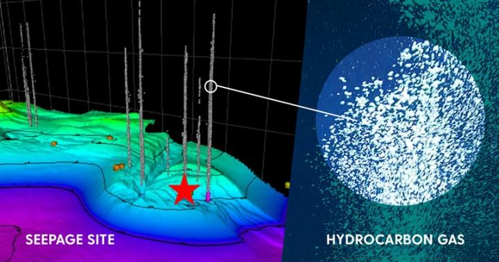 Deep-Sea Microbes