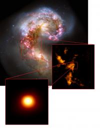 ALMA Proto Super Star Cluster