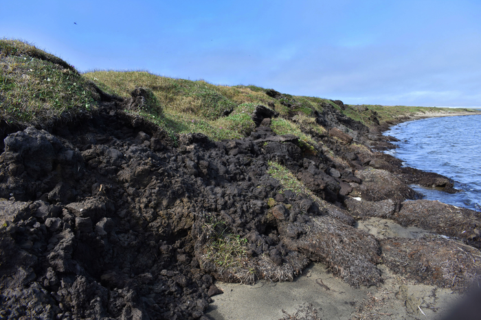 Eroding cliff bluffs adjacent to Elson Lagoon near Utqiagvik, Alaska