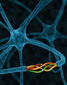 QBI nerve repair