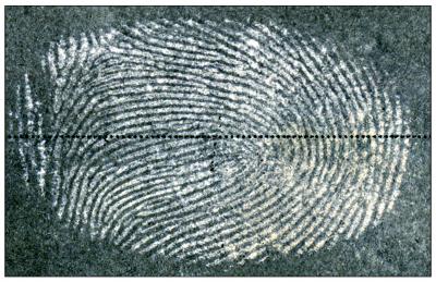 Negative fingerprint image