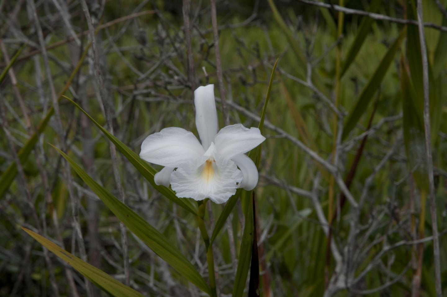 Protected Areas Are Vulnerable to Climate Change