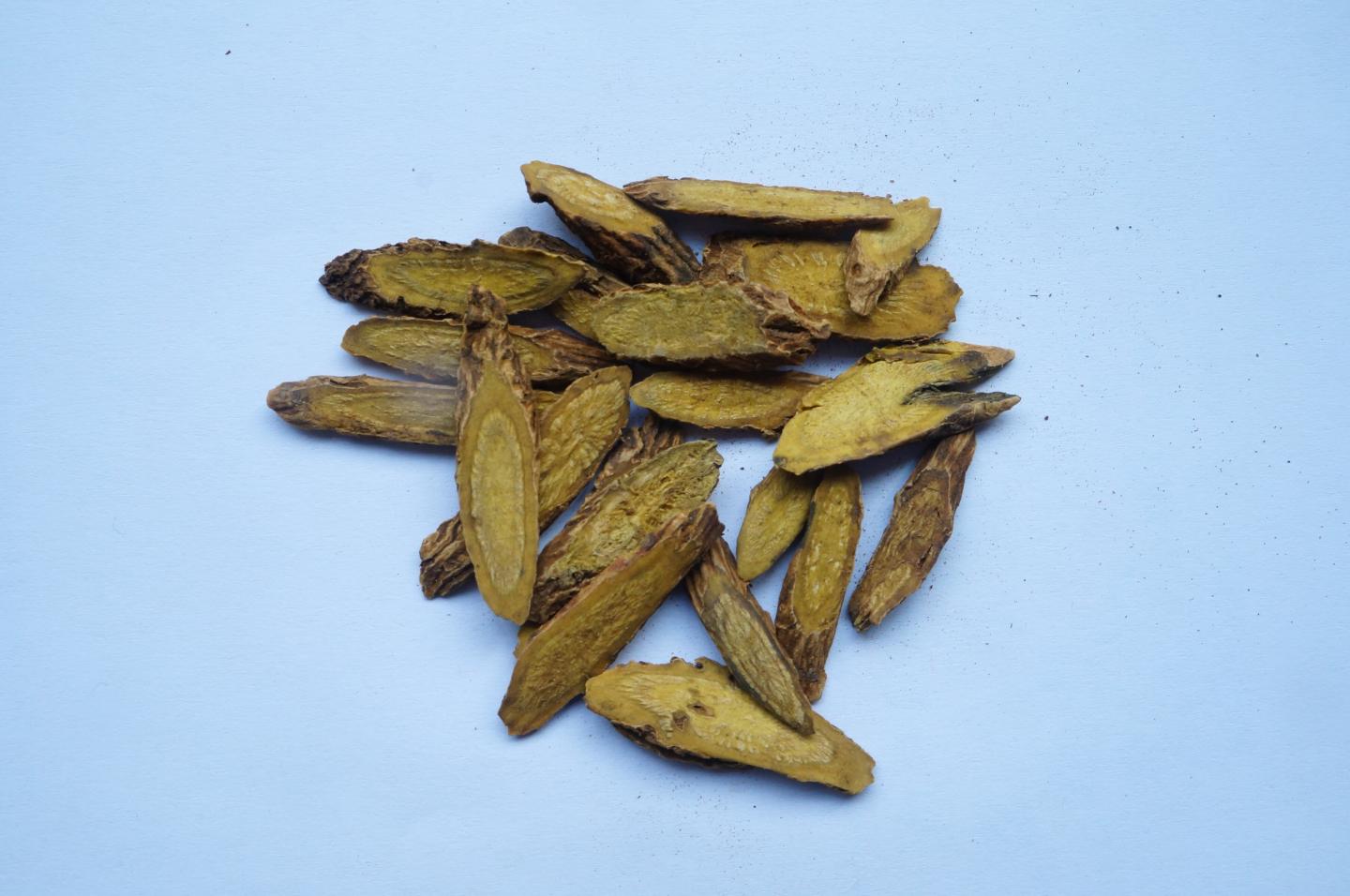 <em>Scutellaria</em> Root