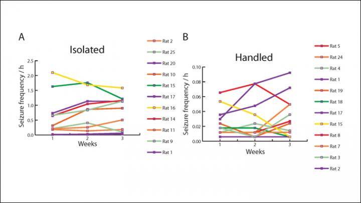 Social Isolation Stresses Rodents
