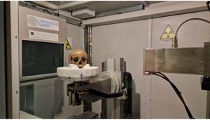 Fig. 2: The Octagon cranium is scanned in the Vienna Micro-CT Lab to a resolution of 80 micrometer.