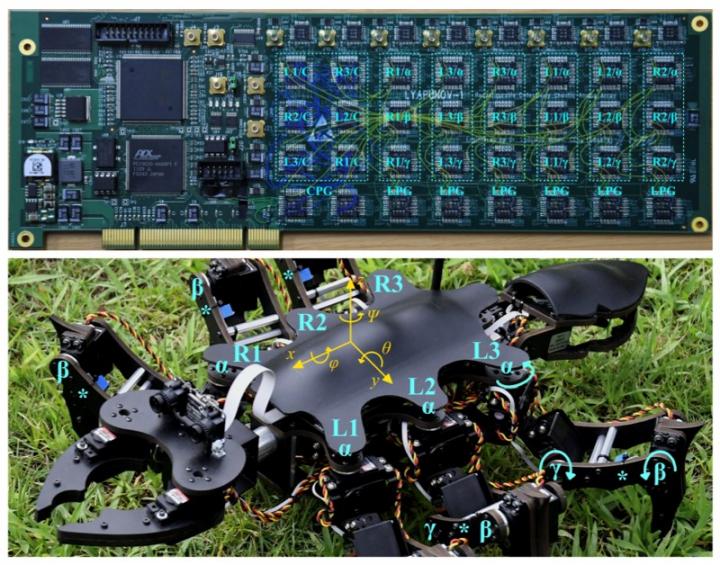 Views of the Circuit Board Implementing the Controller and of the Robot