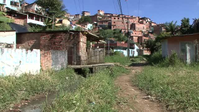 The Protective Role of Dengue Immunity on Zika Infection in a Brazilian Favela (3 of 3)