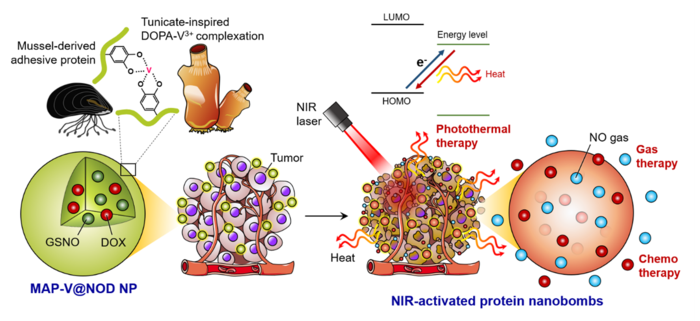 cancer cells diagram