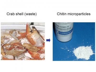 Chitin Microparticles