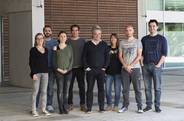 B Cell Biology Research Group