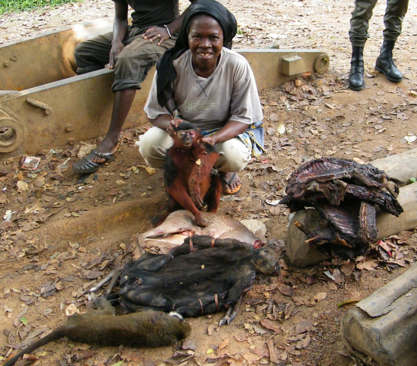 Bushmeat Trade