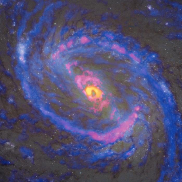 ハッブル宇宙望遠鏡で撮影した可視光線の画像に、アルマ望遠鏡で得られた電波画像を重ねた渦巻銀河M77