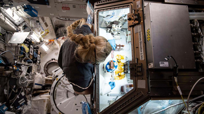 Tissue Engineering in Space