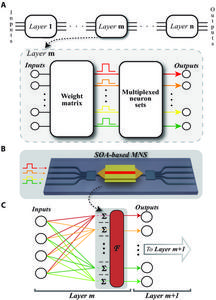 An optical neural network using wavelength division multiplexing and multiplexed neuron sets.