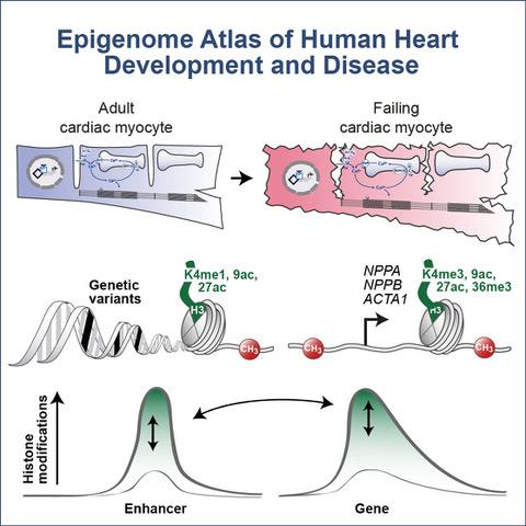 More Than 100,000 Switches
