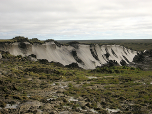 Permafrost soil