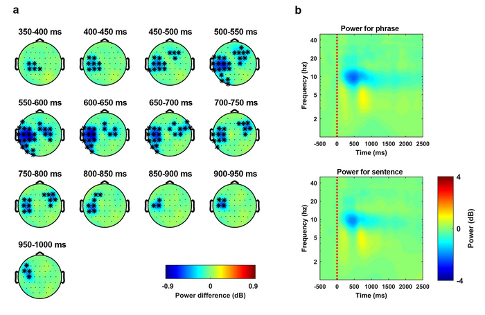 Fig 5. Alpha-band inhibition suggests a separation between phrases and sentences