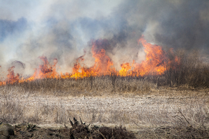 Fire on Nachusa Tallgrass Prairie, Lee/Ogle counties, Illinois.