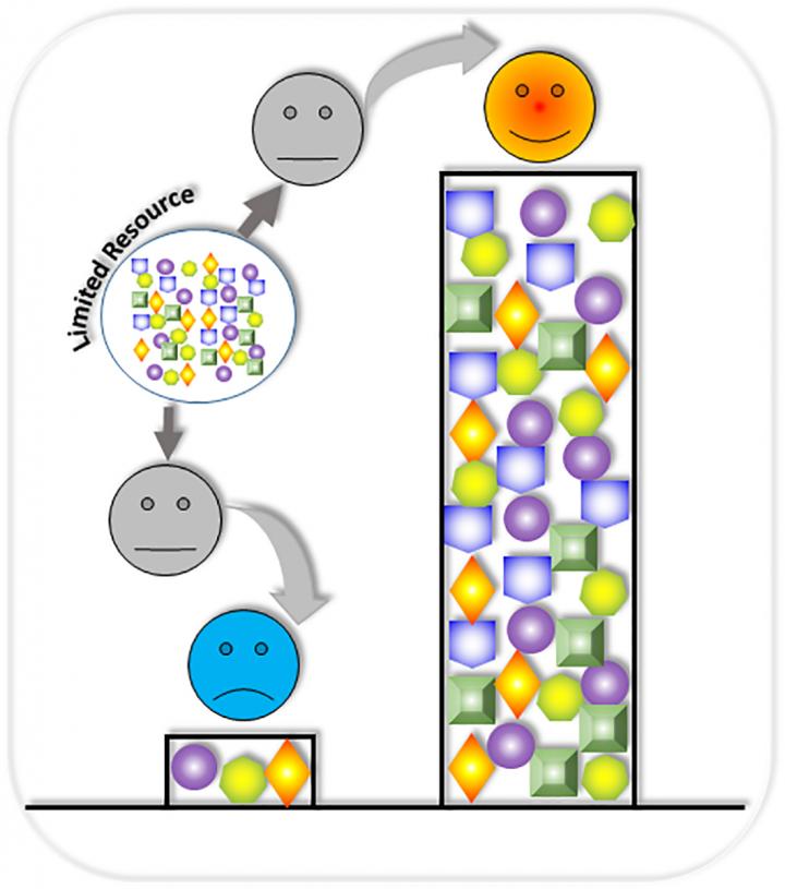 Winner-Takes-All-Synthetic Gene Circuit