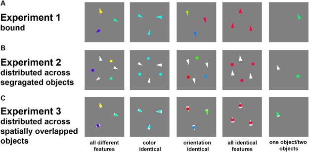 Example of Stimuli for Three Experiments for Five Conditions