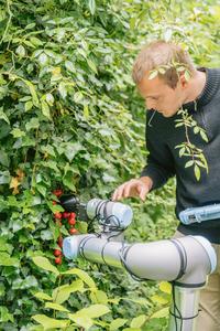 ChatGPT designed robot and researcher in tomato field test