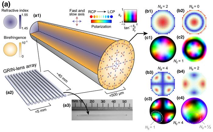 Figure | Diversified complex topologial skyrmions from a needle-like GRIN lens.