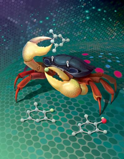 Phthaloyl Peroxide Crab