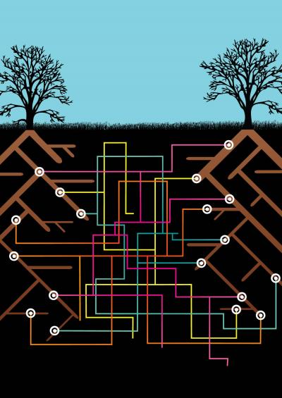 How Plants and Fungi Prevent Cheating (4 of 5)