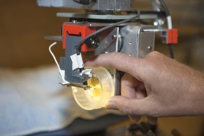 Andrew Pruszynski's Laboratory