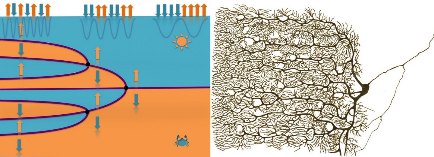 Barium Titanate at the Edge of Chaos Compared to Pyramidal Neurons