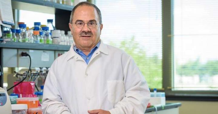 Using microbes to create biofuel