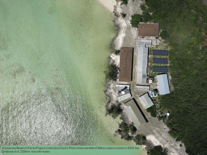 Aldabra research station shoreline