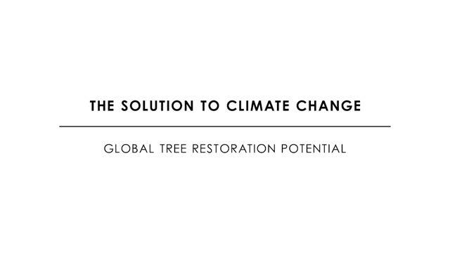 The Global Tree Restoration Potential Overview Movie