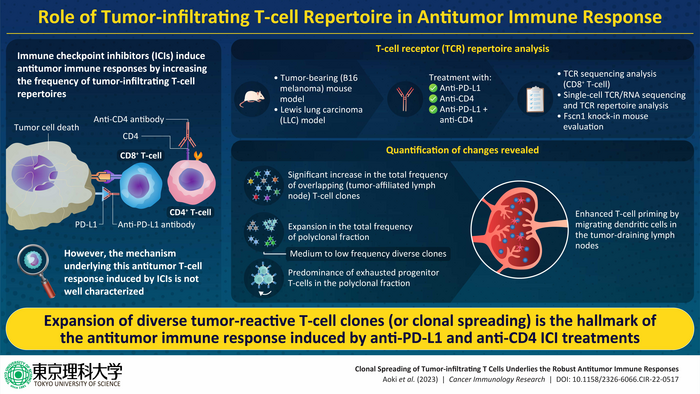 Role of Tumor Infiltrating T-Cell Repertoire in Anti-Tumor Immune Response