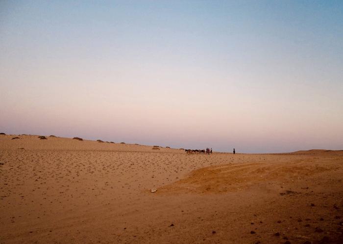 Namib desert