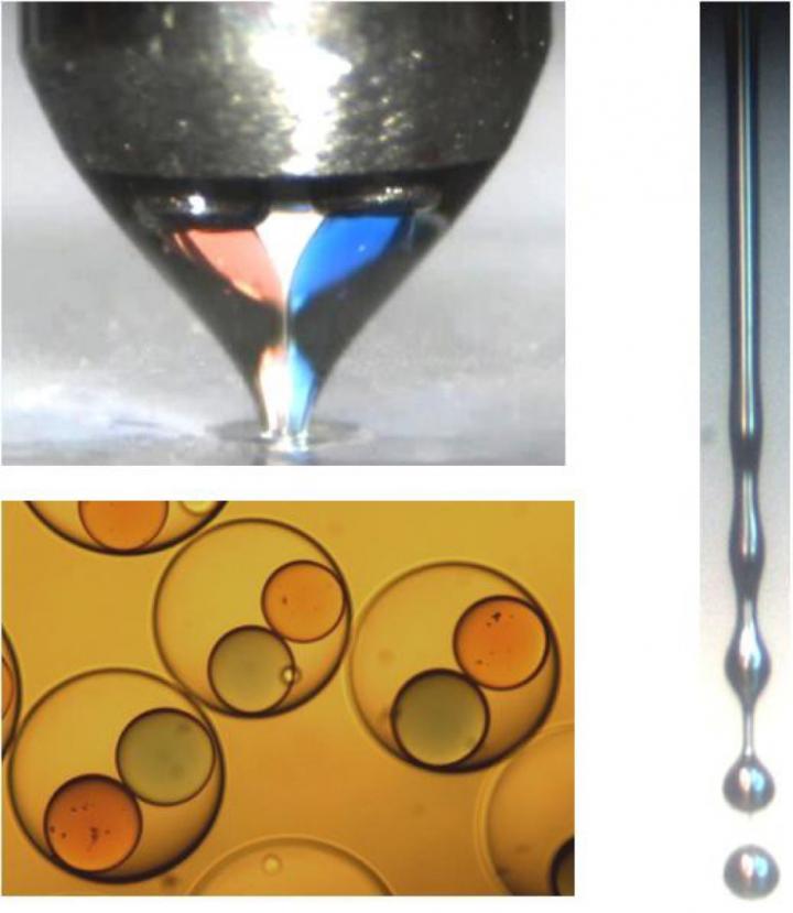 Multi Compartment Microcapsules