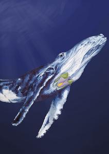 Humpback whale with larynx