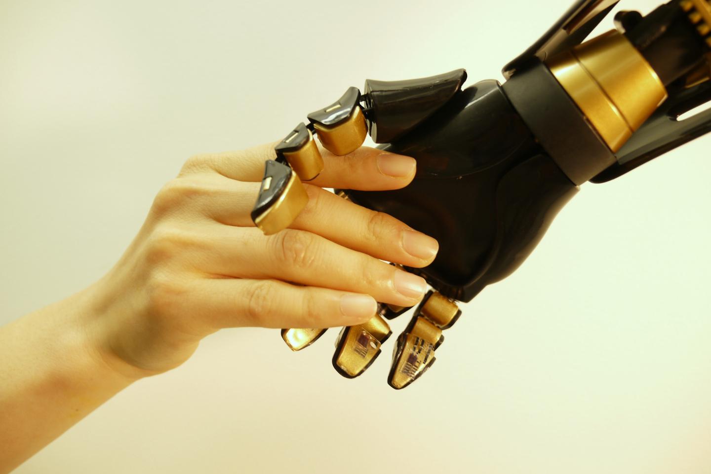 Artificial 'Skin' Could Provide Prosthetics with Sensation (1 of 8)