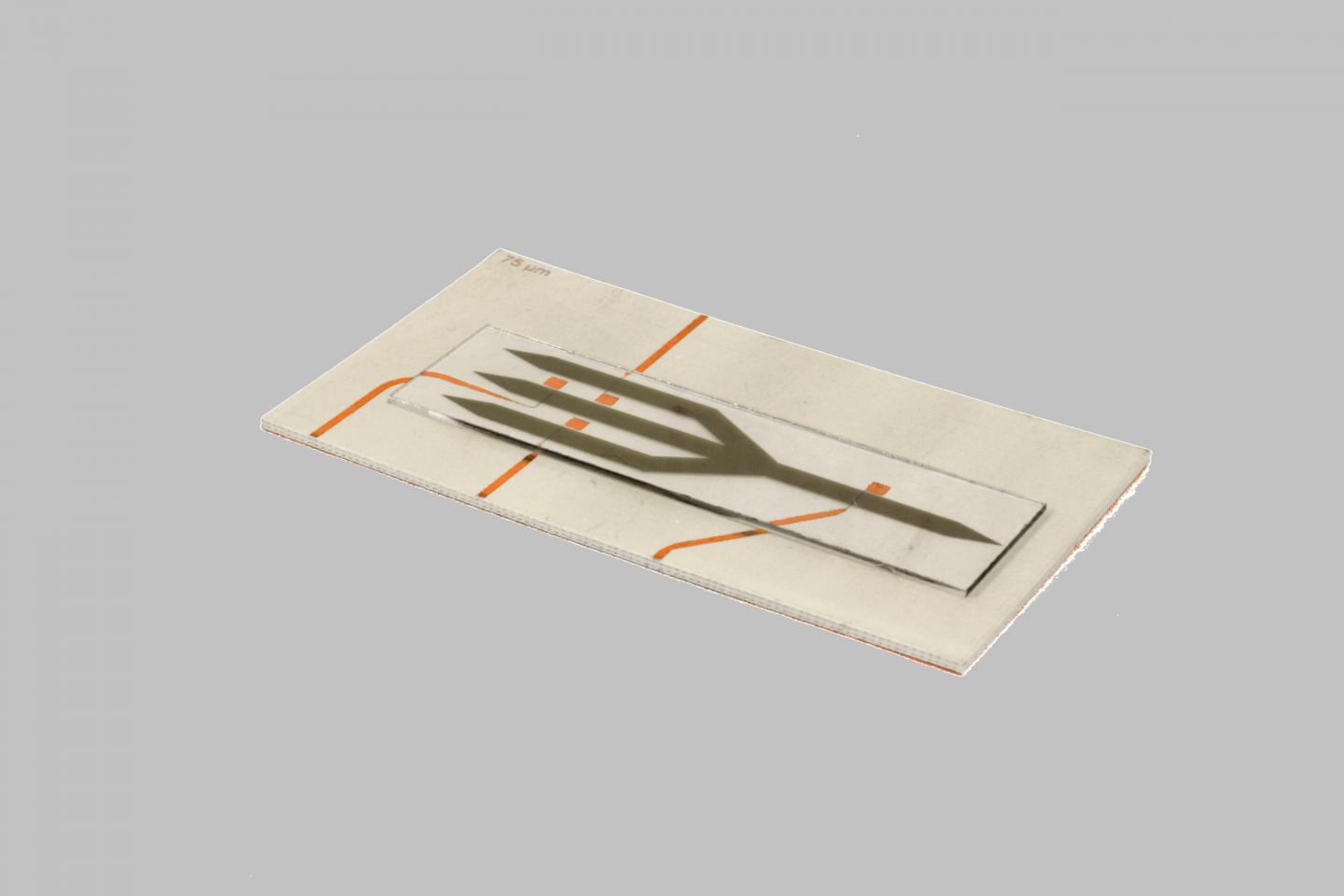 The Trident-Shaped Majority Gate Structure Consisting of Yttrium Iron Garnet